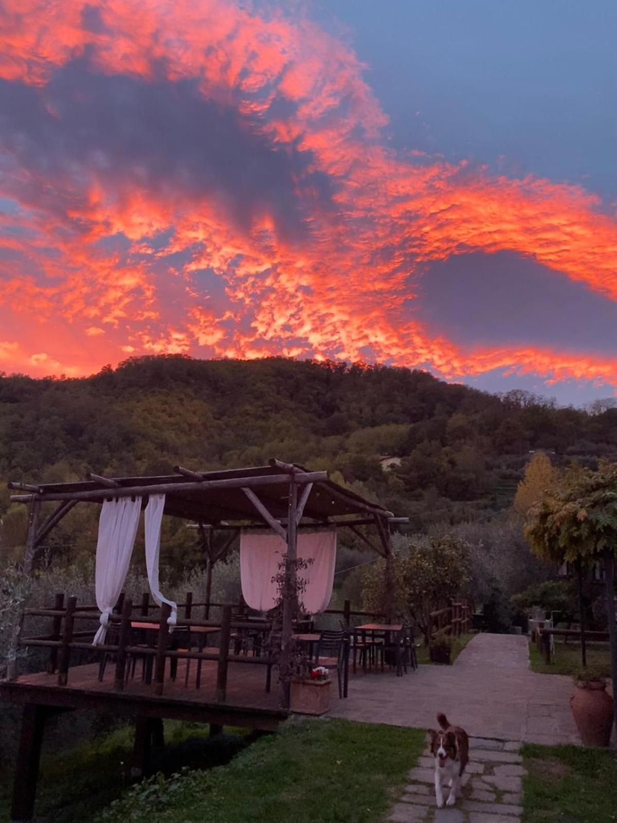 Agriturismo Ca Di Rossi Villa Mulazzo Ngoại thất bức ảnh