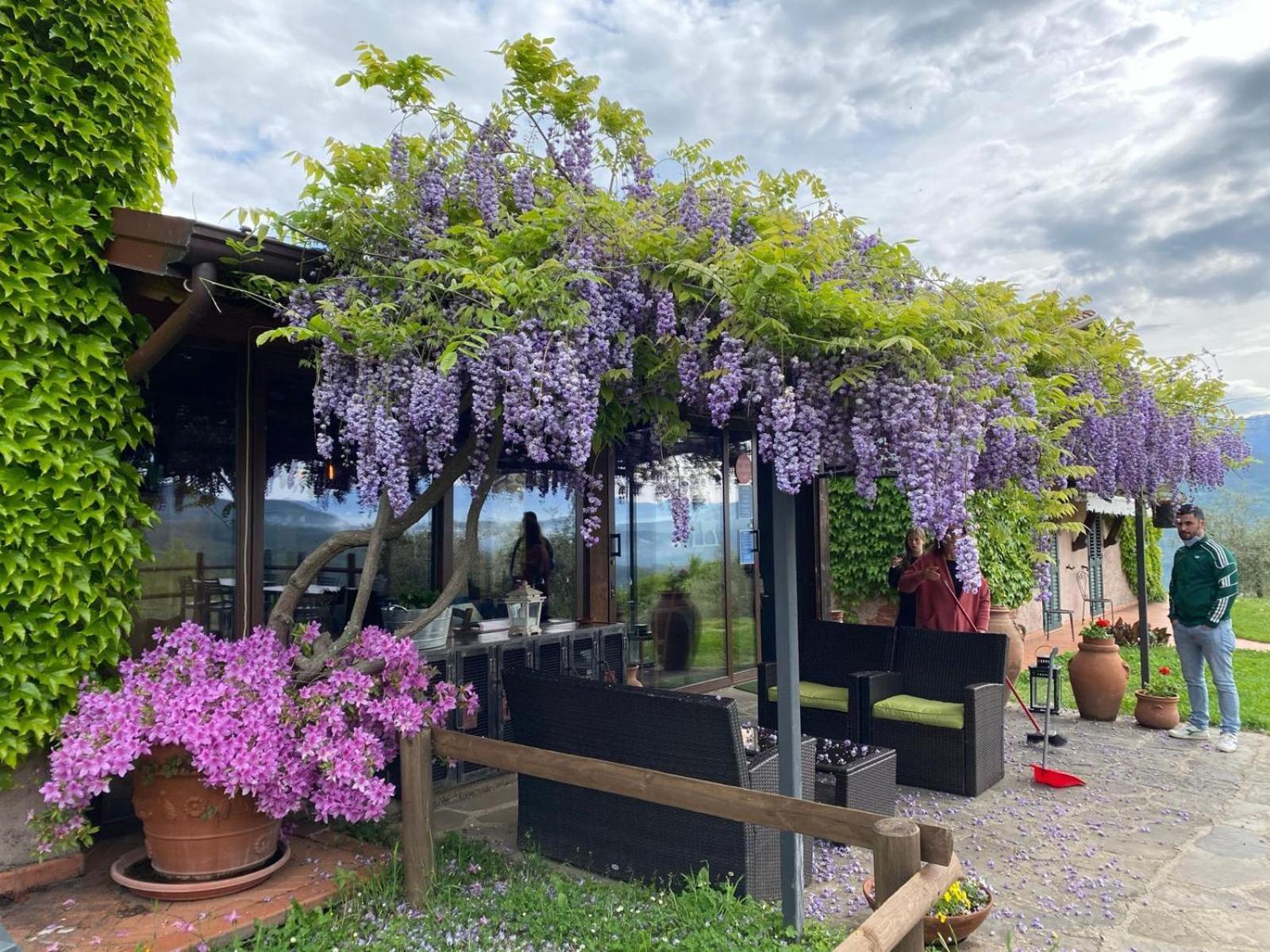 Agriturismo Ca Di Rossi Villa Mulazzo Ngoại thất bức ảnh