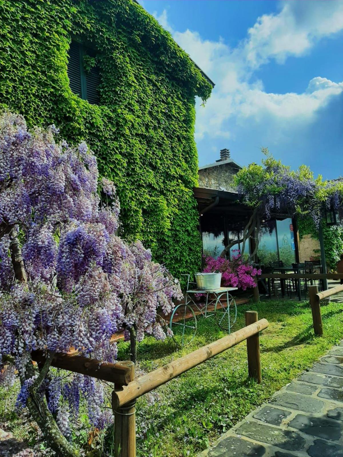 Agriturismo Ca Di Rossi Villa Mulazzo Ngoại thất bức ảnh